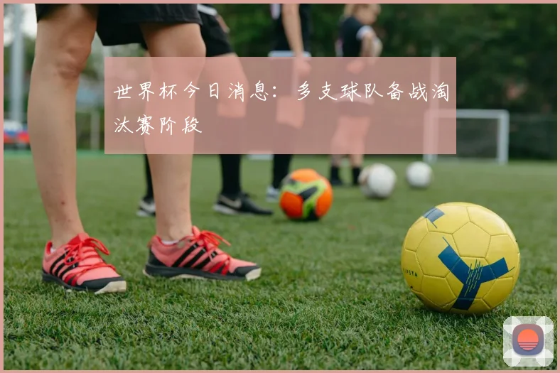 世界杯今日消息：多支球队备战淘汰赛阶段