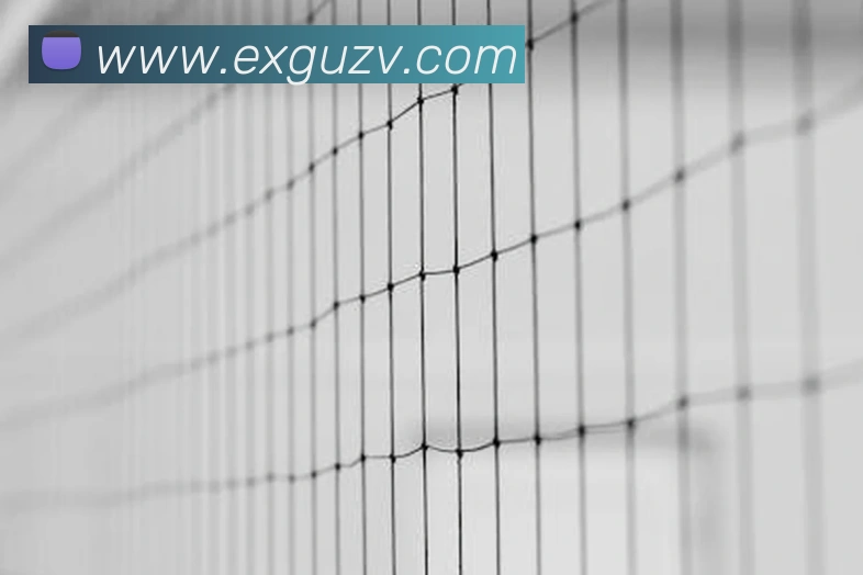 世界杯体育app官网发展历程